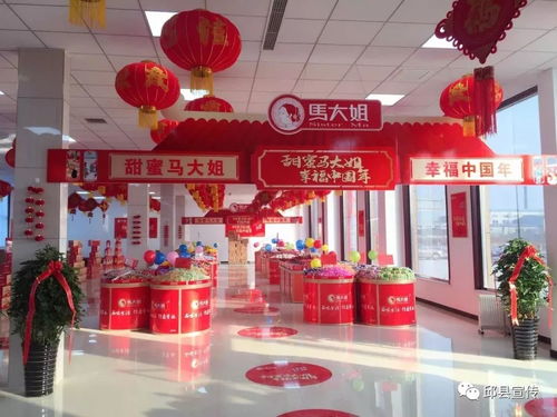 邱县马大姐食品工厂发福利,大批群众买买买不停