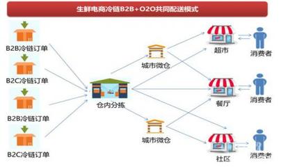 社区O2O生鲜创业风口之下,小鸟CMS生鲜新零售系统V2.0全力起航!