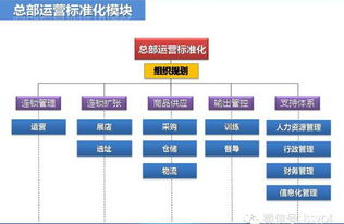 连锁的战略 模式 标准化 复制与督导让你读懂真正的连锁